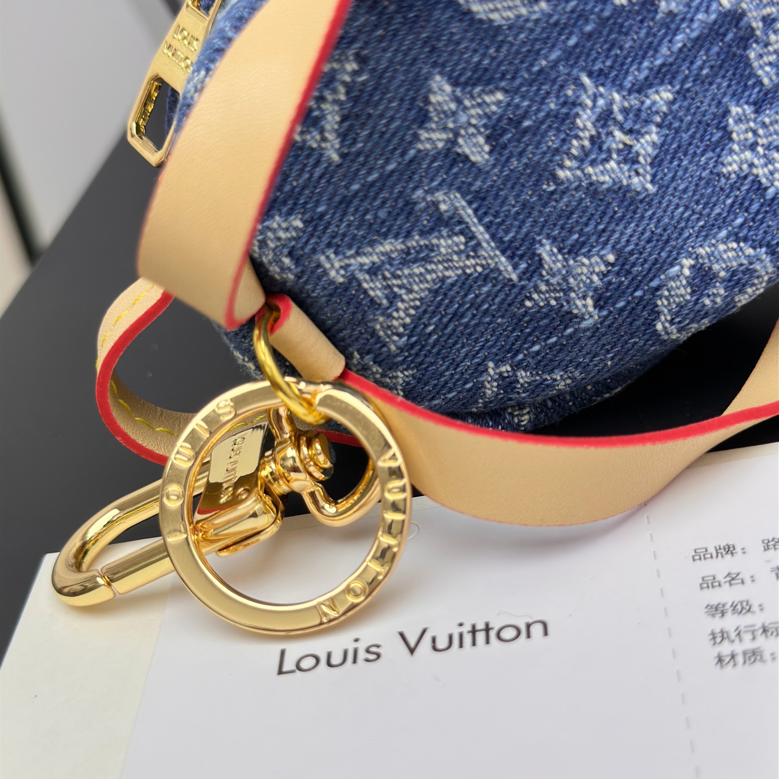 Louis Vuitton Mini Backpack with Keychain Hanger
