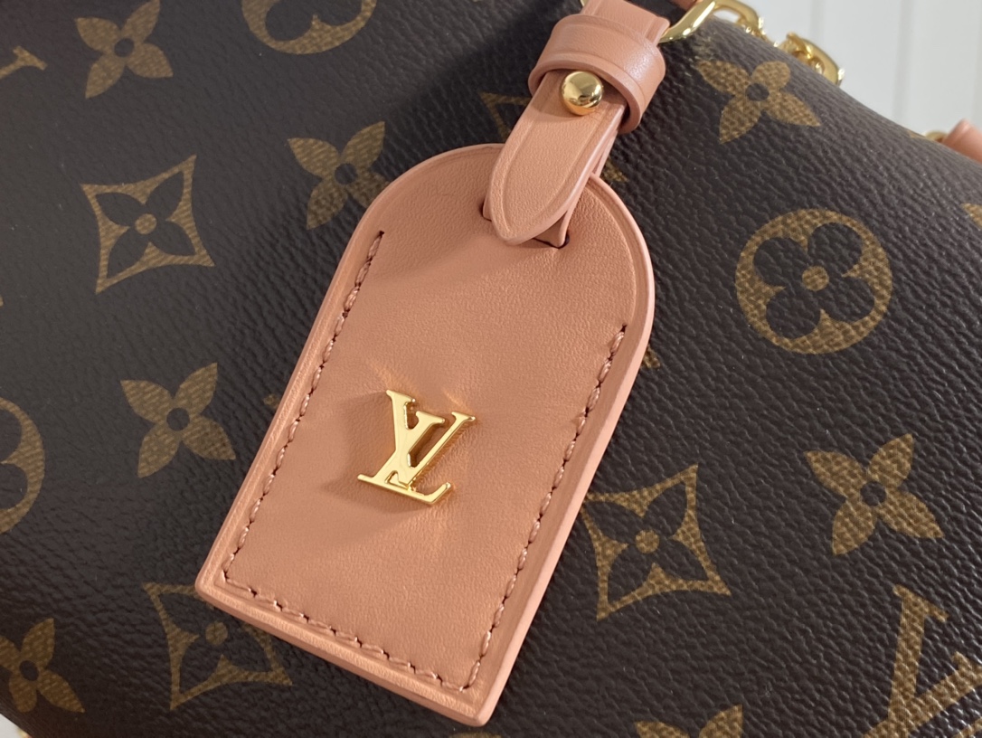 Louis Vuitton Petite Malle Souple Handbag