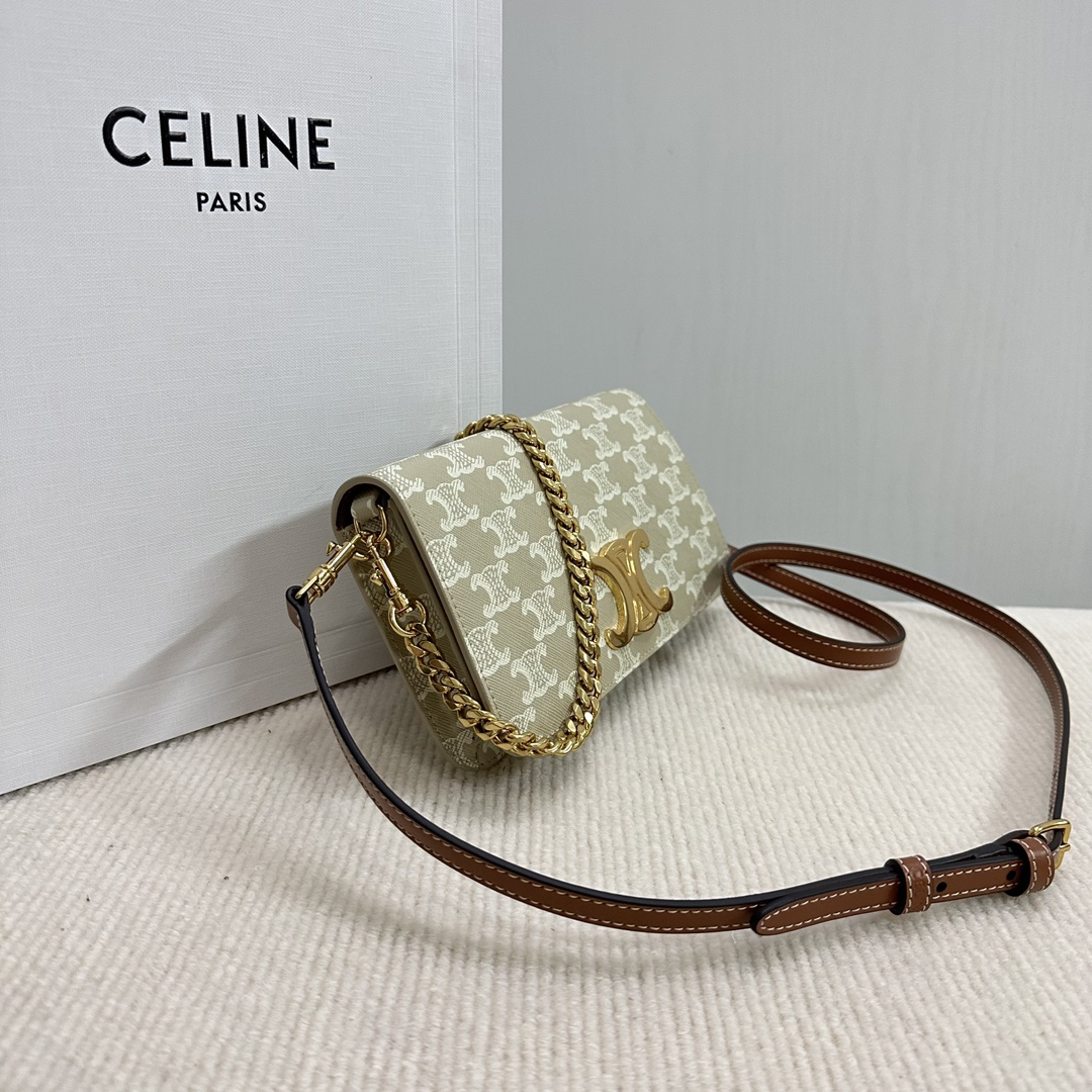 Celine Triomphe Canvas Crinkled Calf Bag