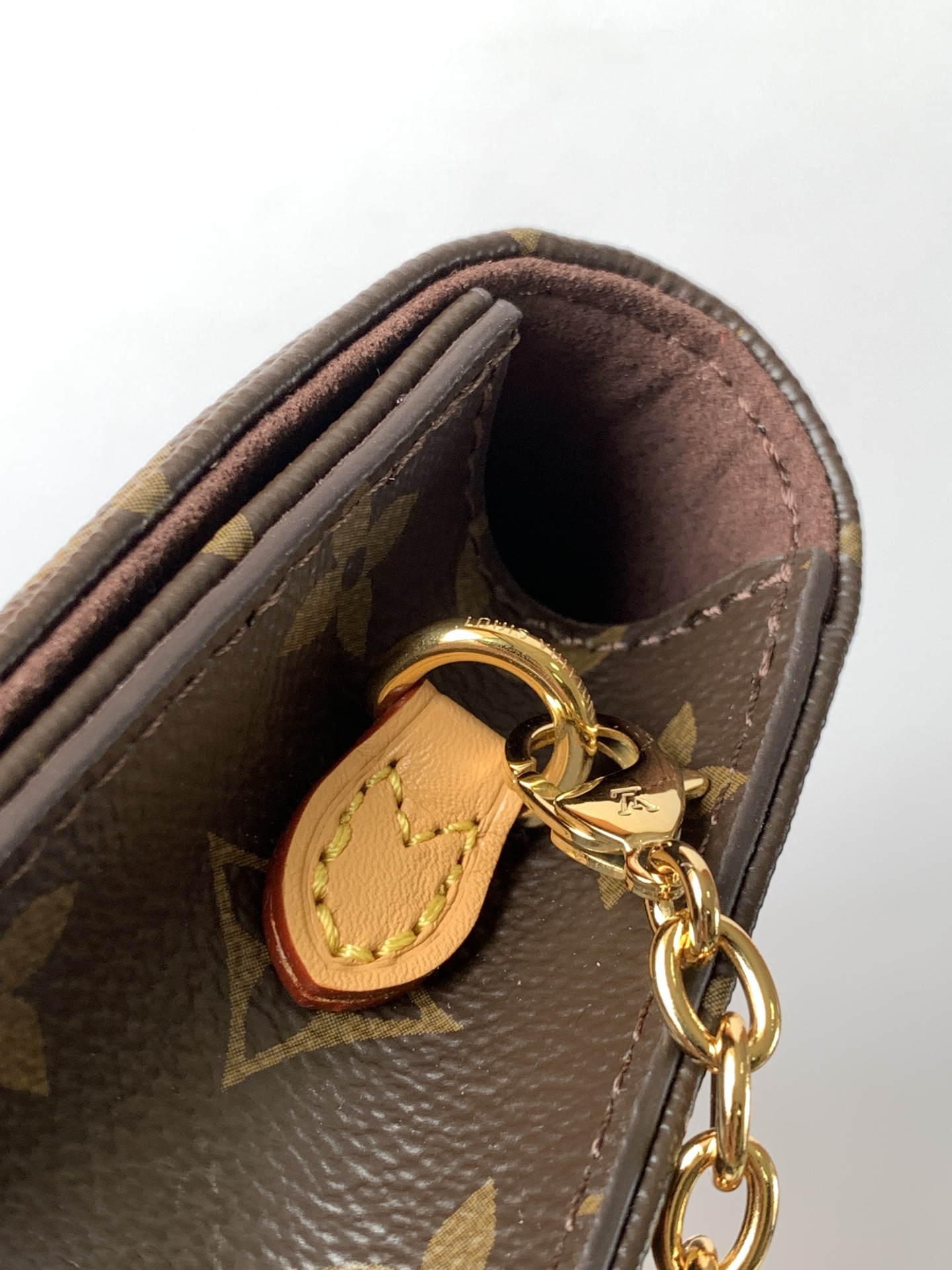 Louis Vuitton LV Lily Wallet on Chain Bag