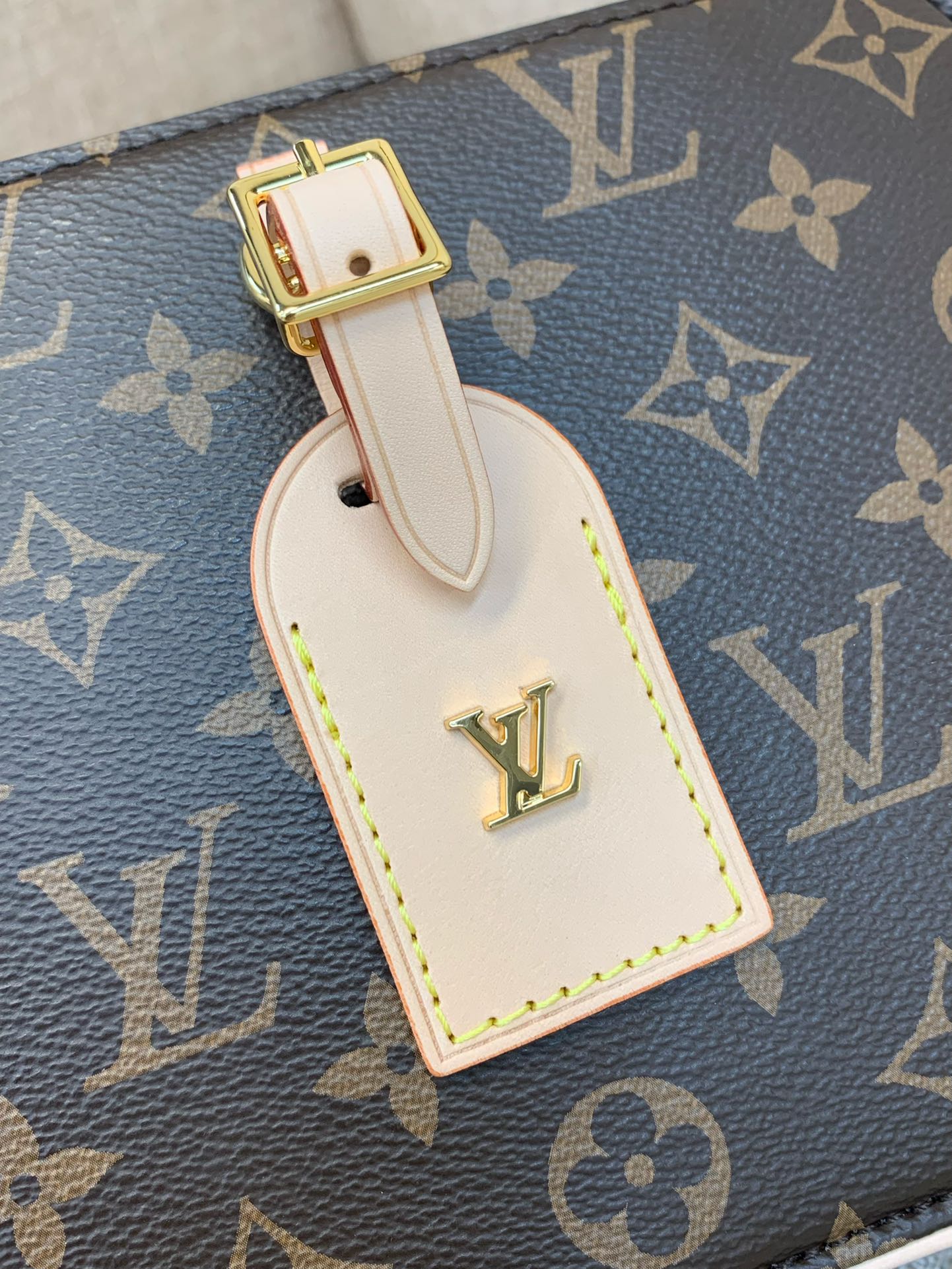 Louis Vuitton LV Around Me Bag
