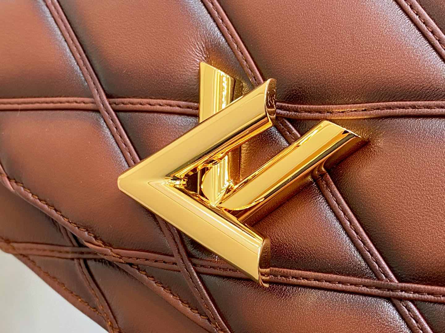 Louis Vuitton LV Wallet on Chain GO-14 Bag