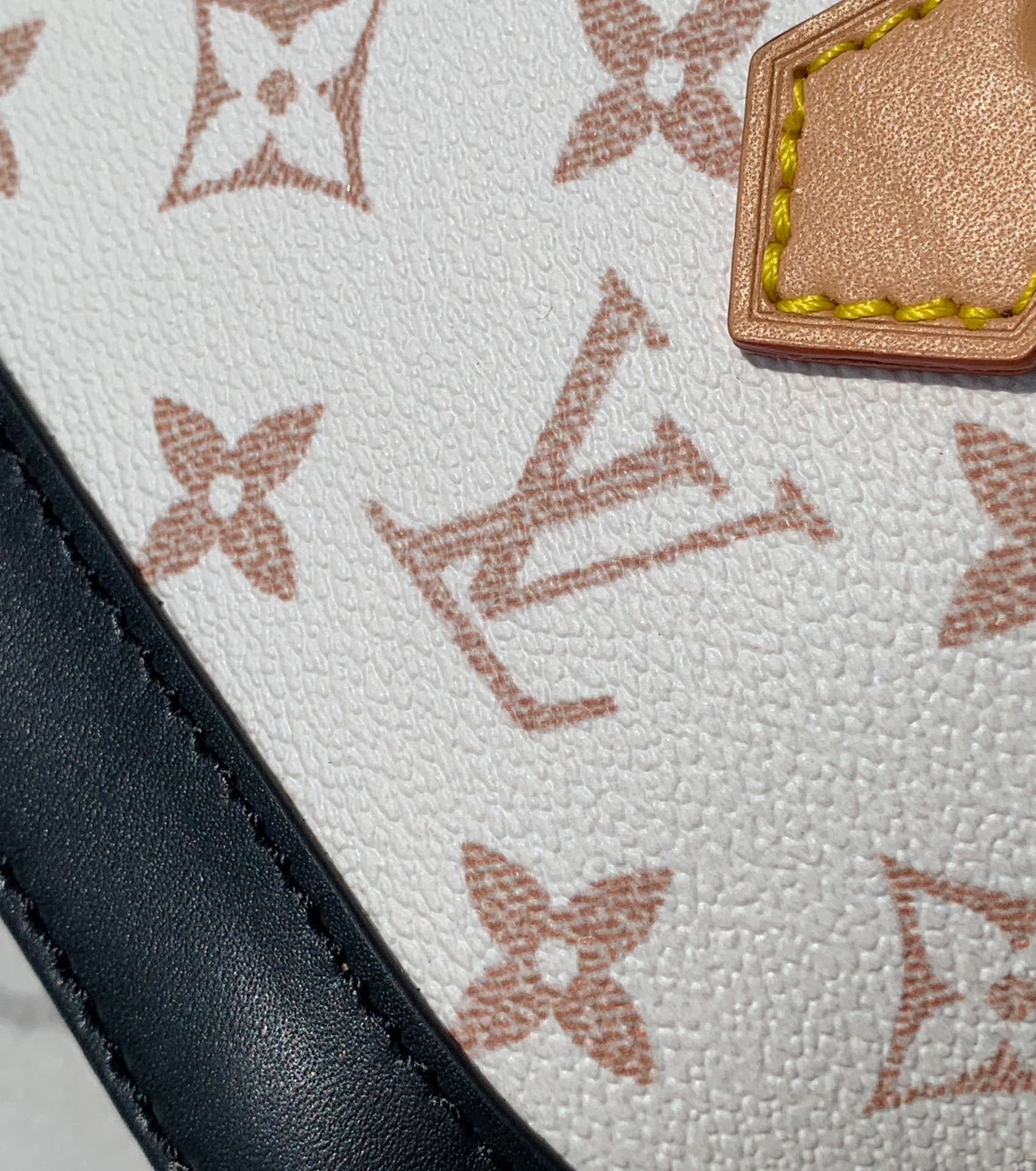 Louis Vuitton LV Nano Alma Crossbody Bag