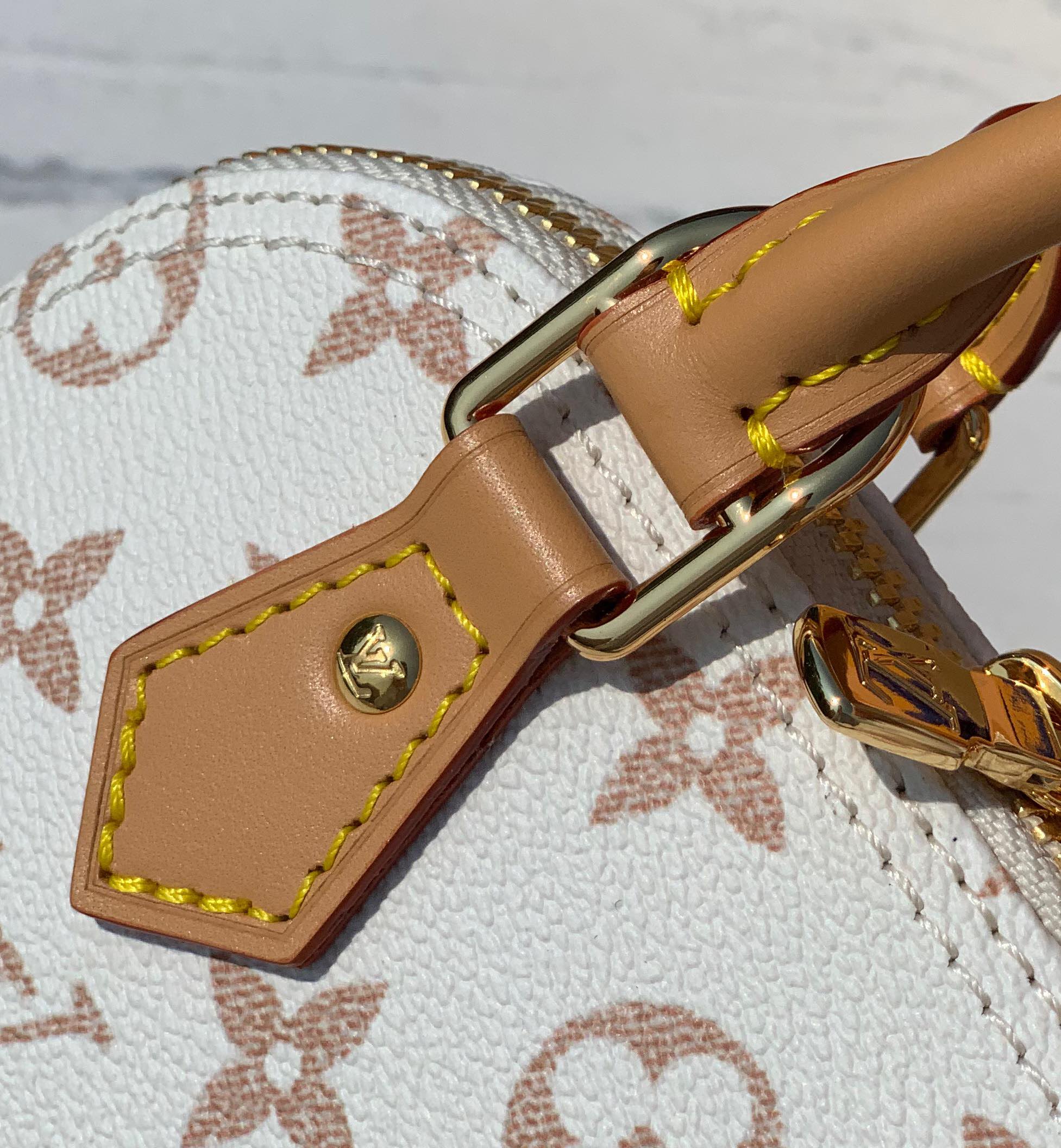 Louis Vuitton LV Nano Alma Crossbody Bag