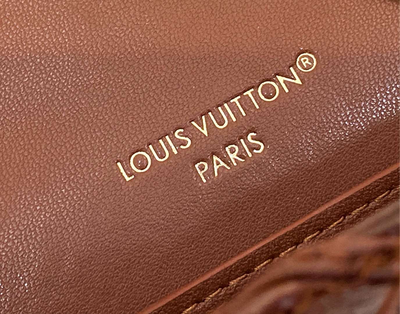 Louis Vuitton LV Wallet on Chain GO-14 Bag