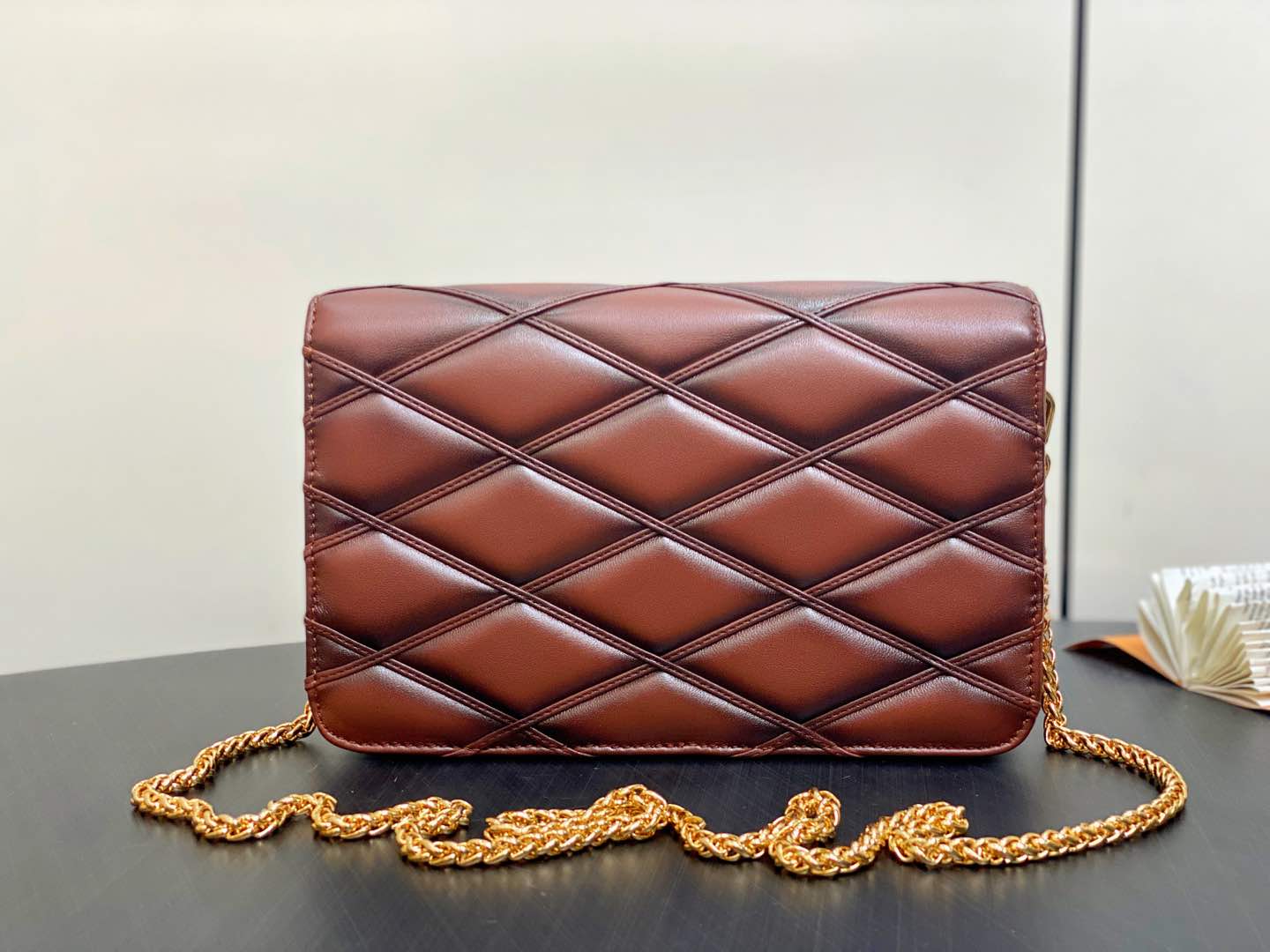 Louis Vuitton LV Wallet on Chain GO-14 Bag
