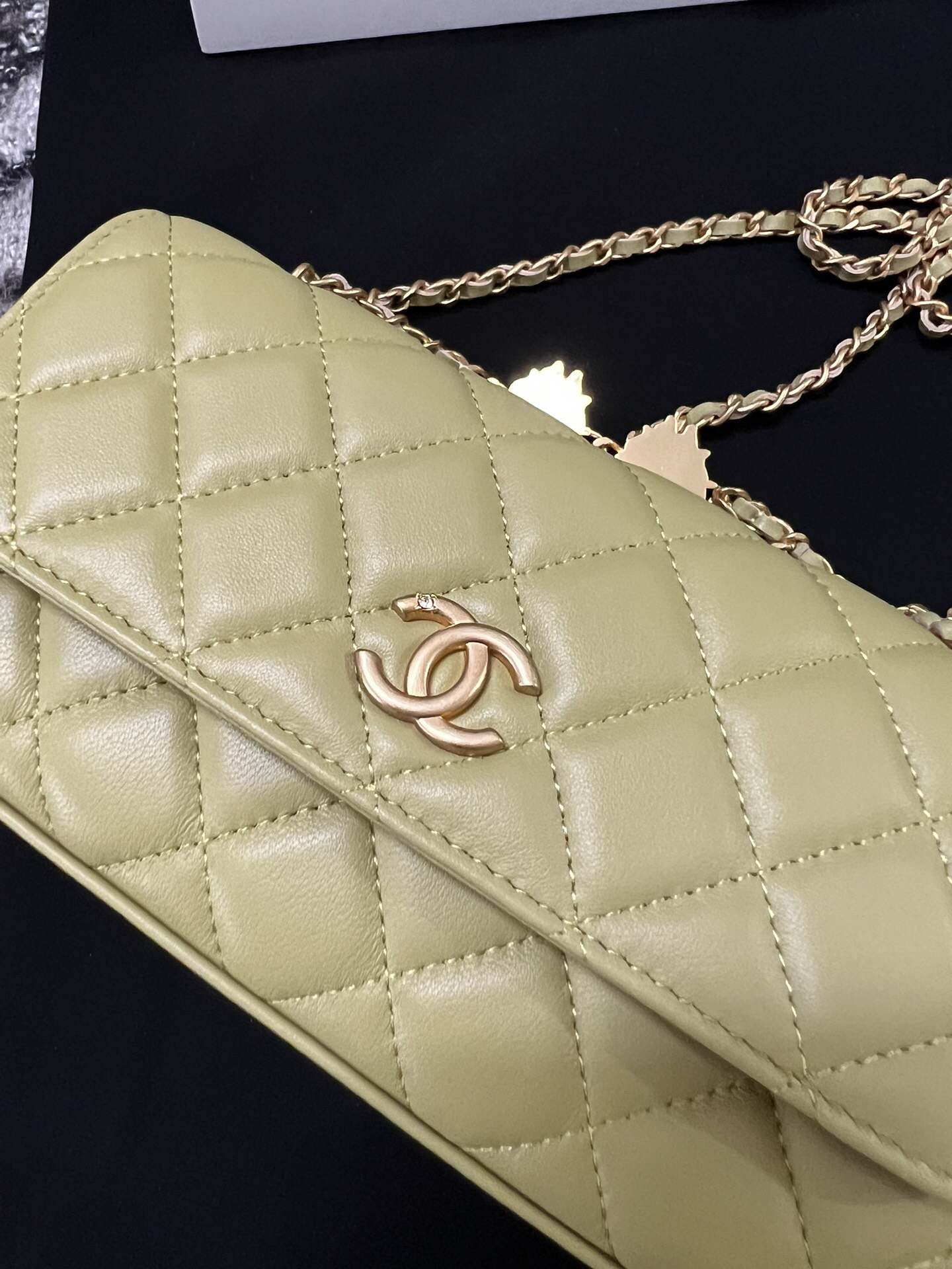 Chanel Lion Head Chain Bag