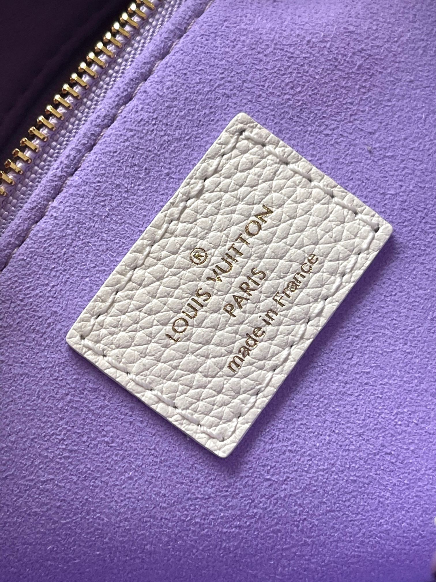 Louis Vuitton LV OnTheGo Bag