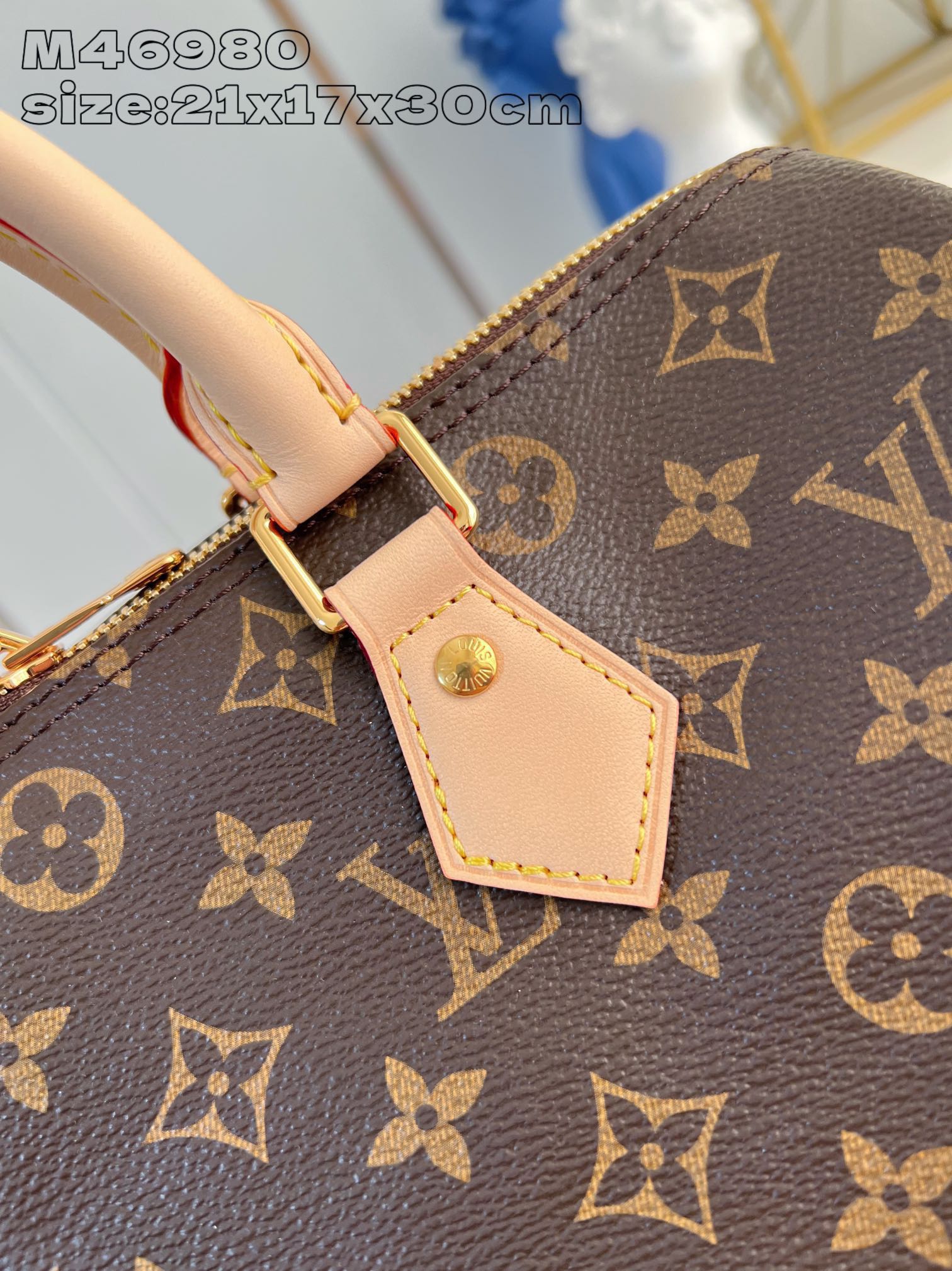 LV Louis Vuitton Speedy Bandoulière 30 Handbag