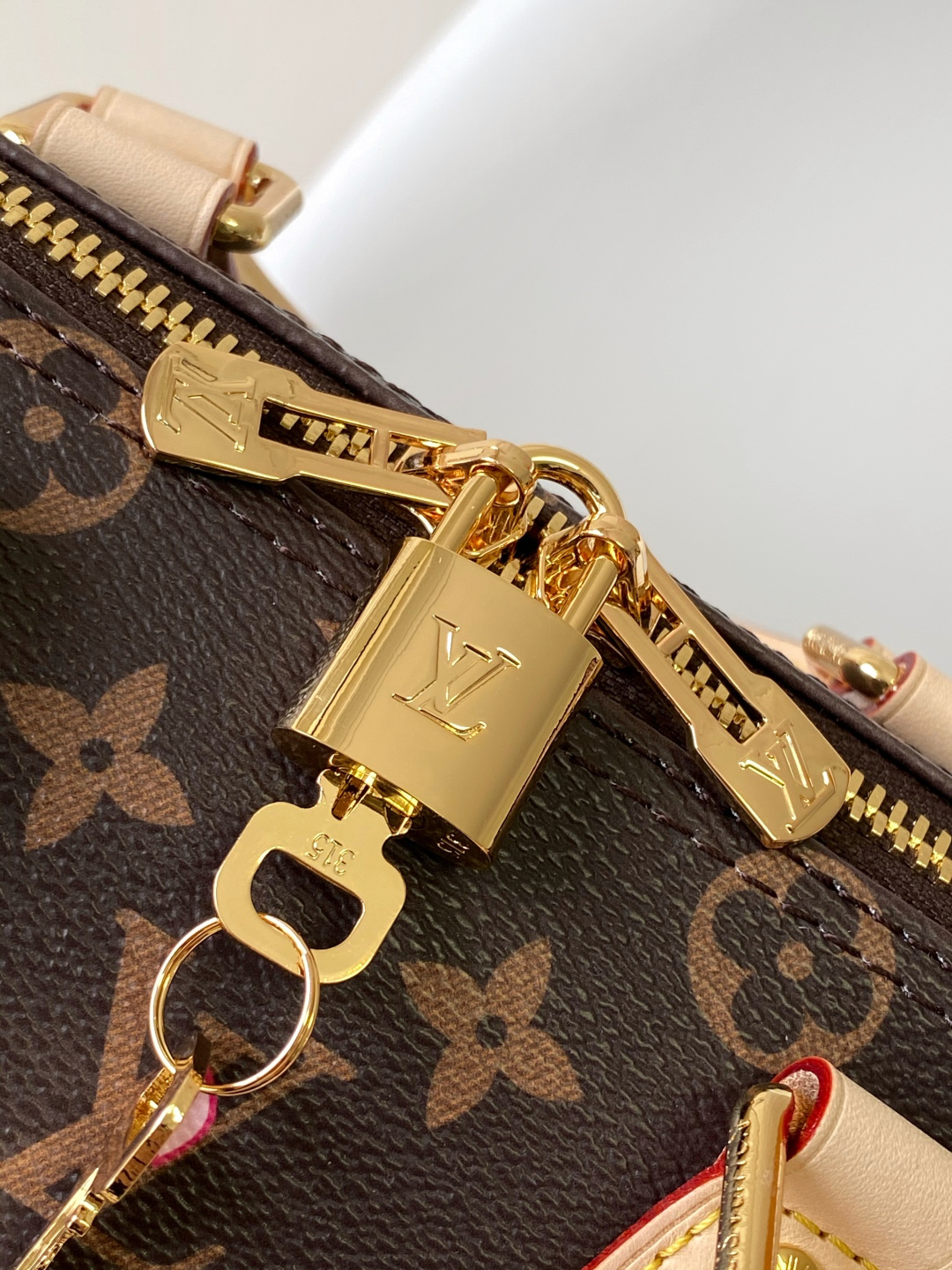 LV x TM SPEEDY BANDOULIÈRE 25 Handbag