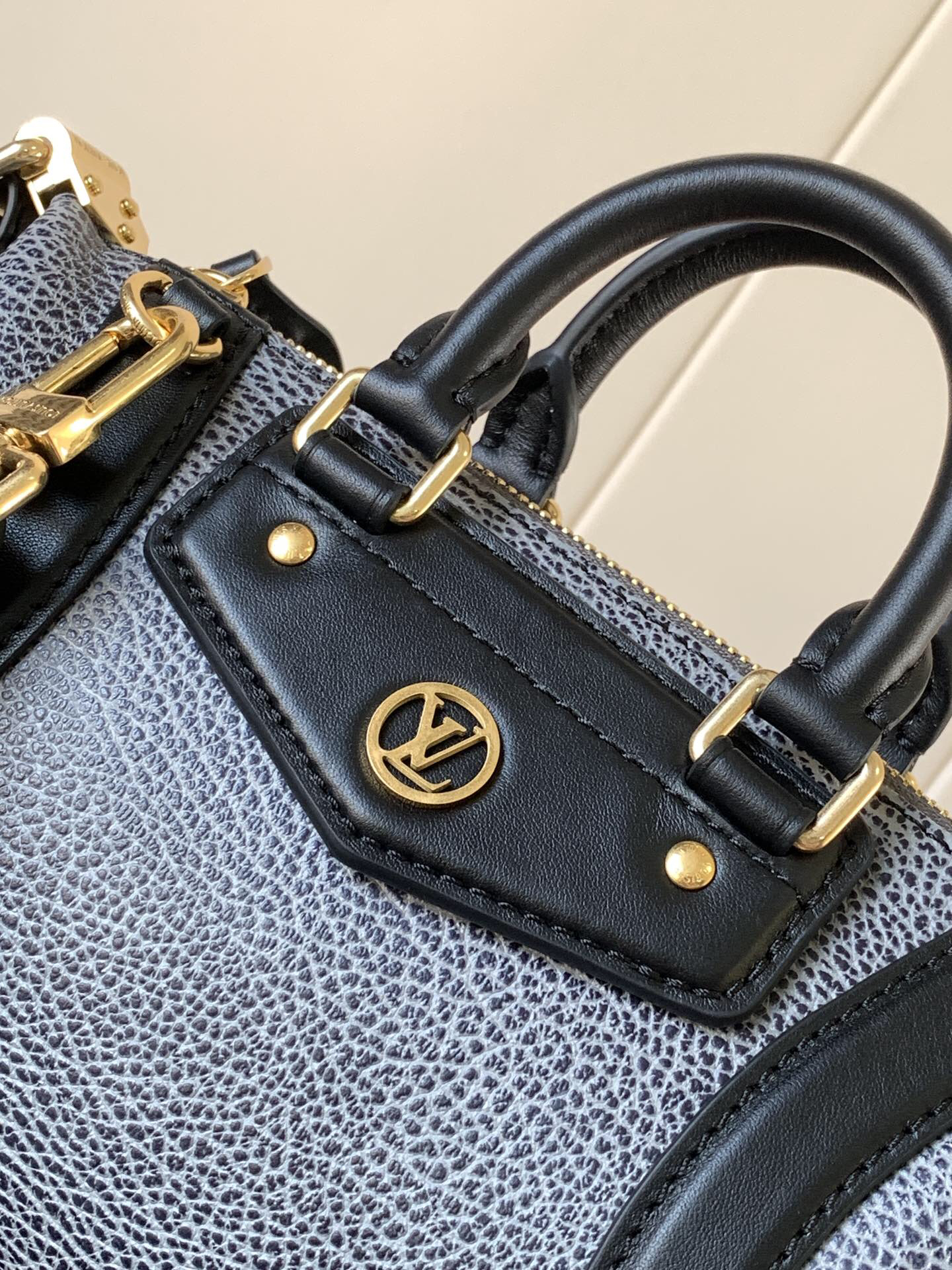 Louis Vuitton LV BIKER Small Handbag