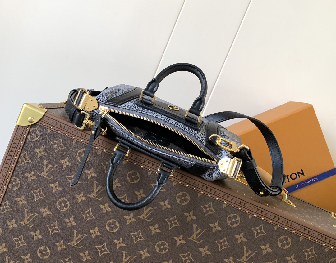 Louis Vuitton LV BIKER Small Handbag
