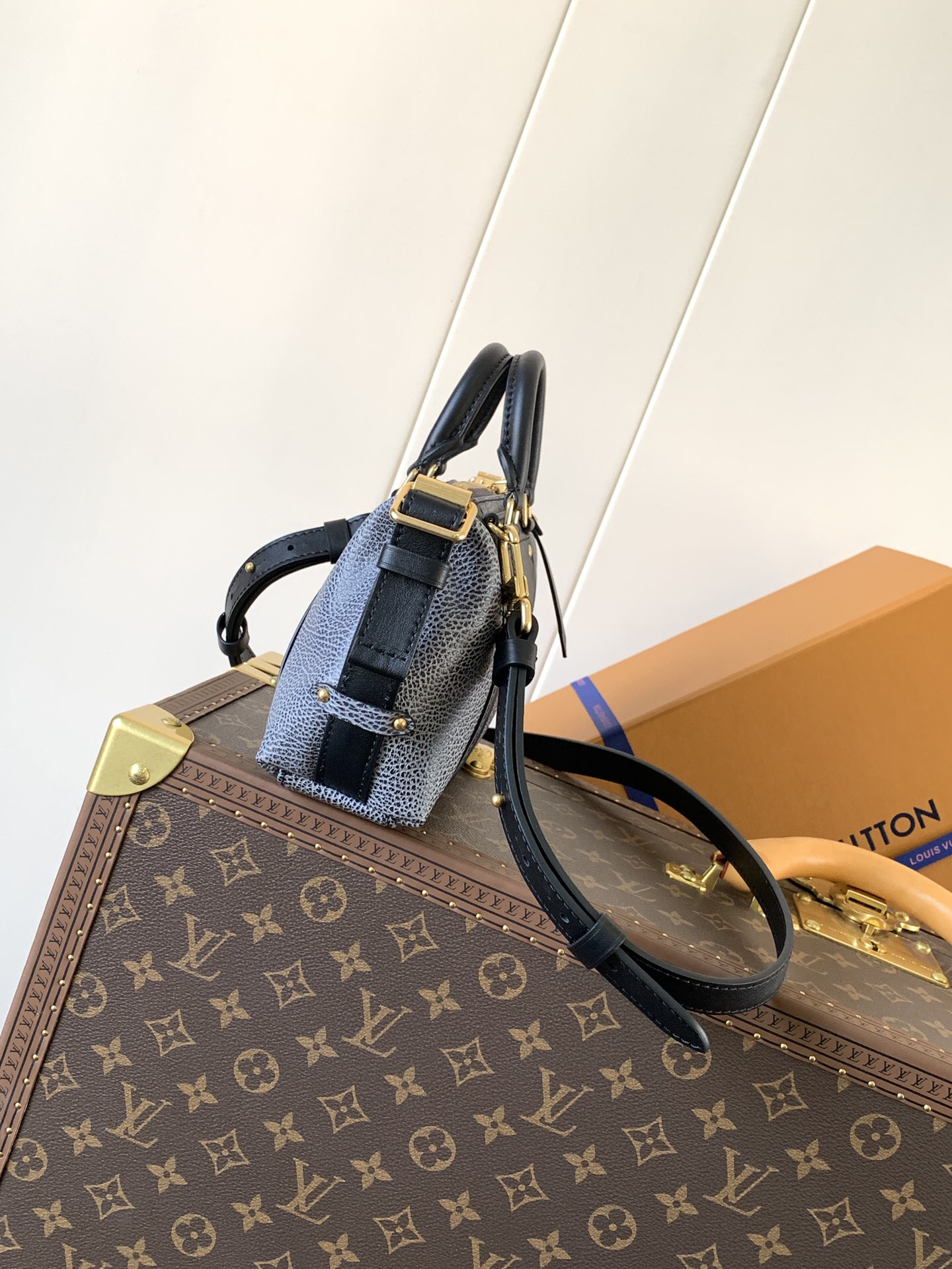Louis Vuitton LV BIKER Small Handbag