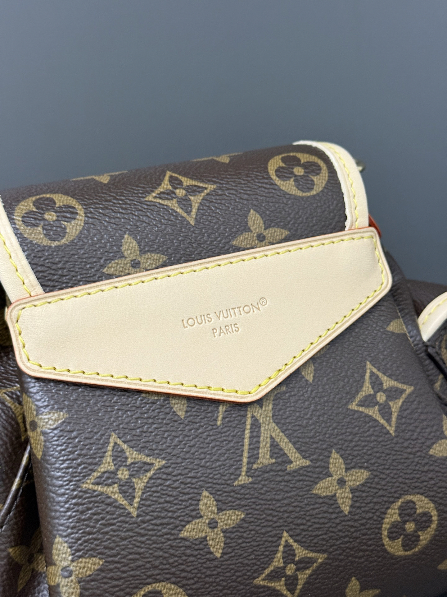 Louis Vuitton LV ODYSSÉE Handbag