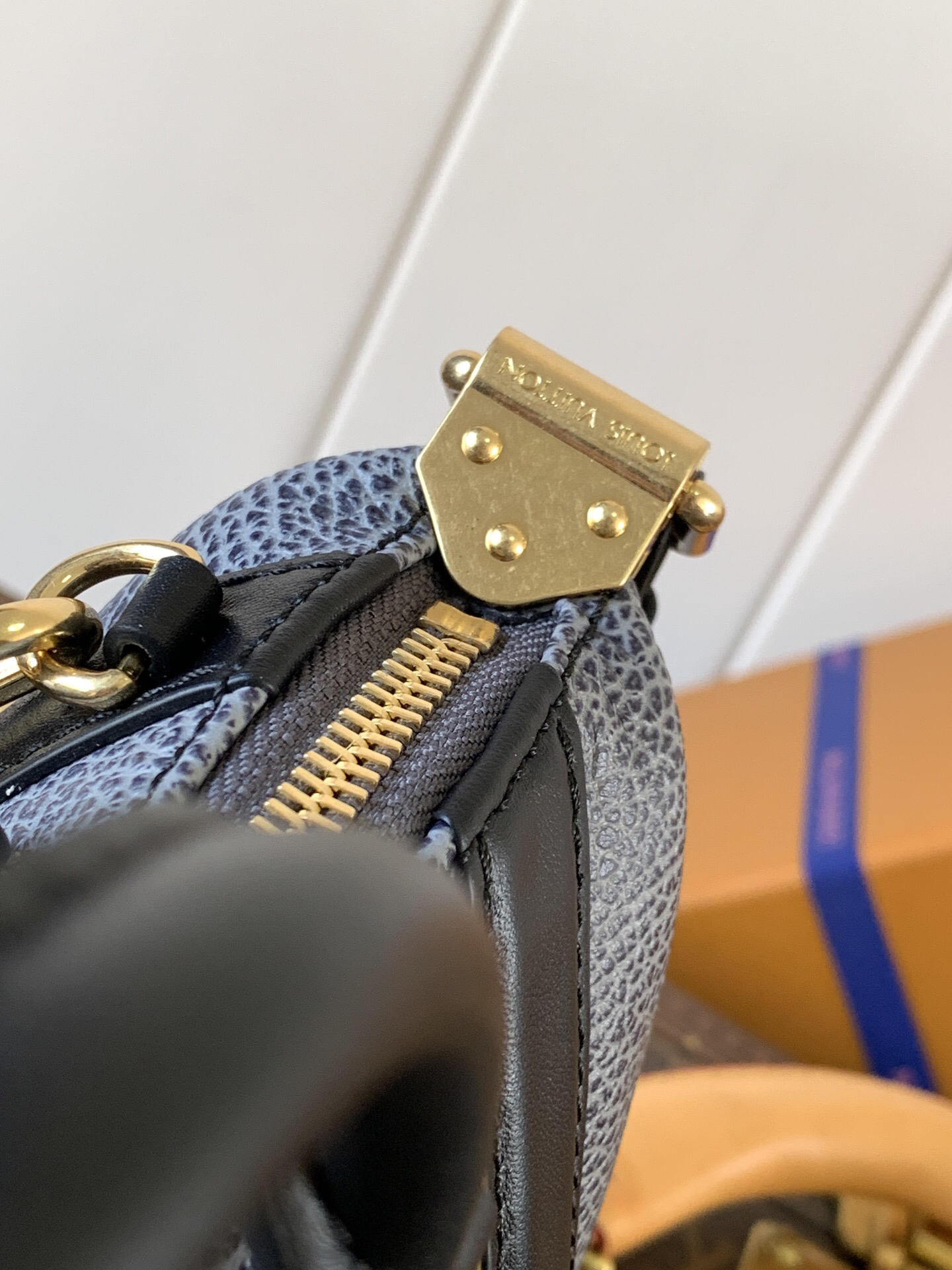 Louis Vuitton LV BIKER Small Handbag