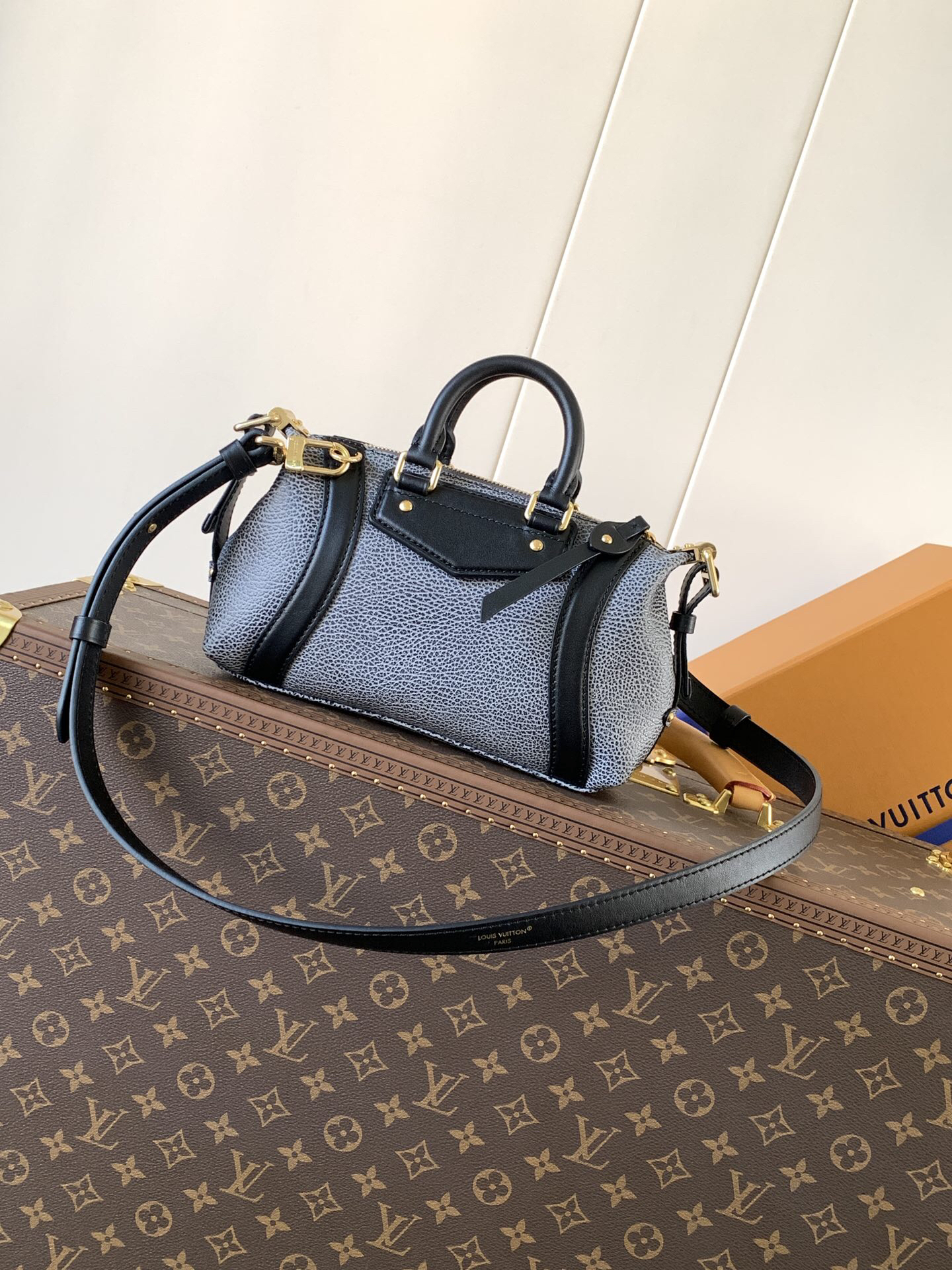 Louis Vuitton LV BIKER Small Handbag