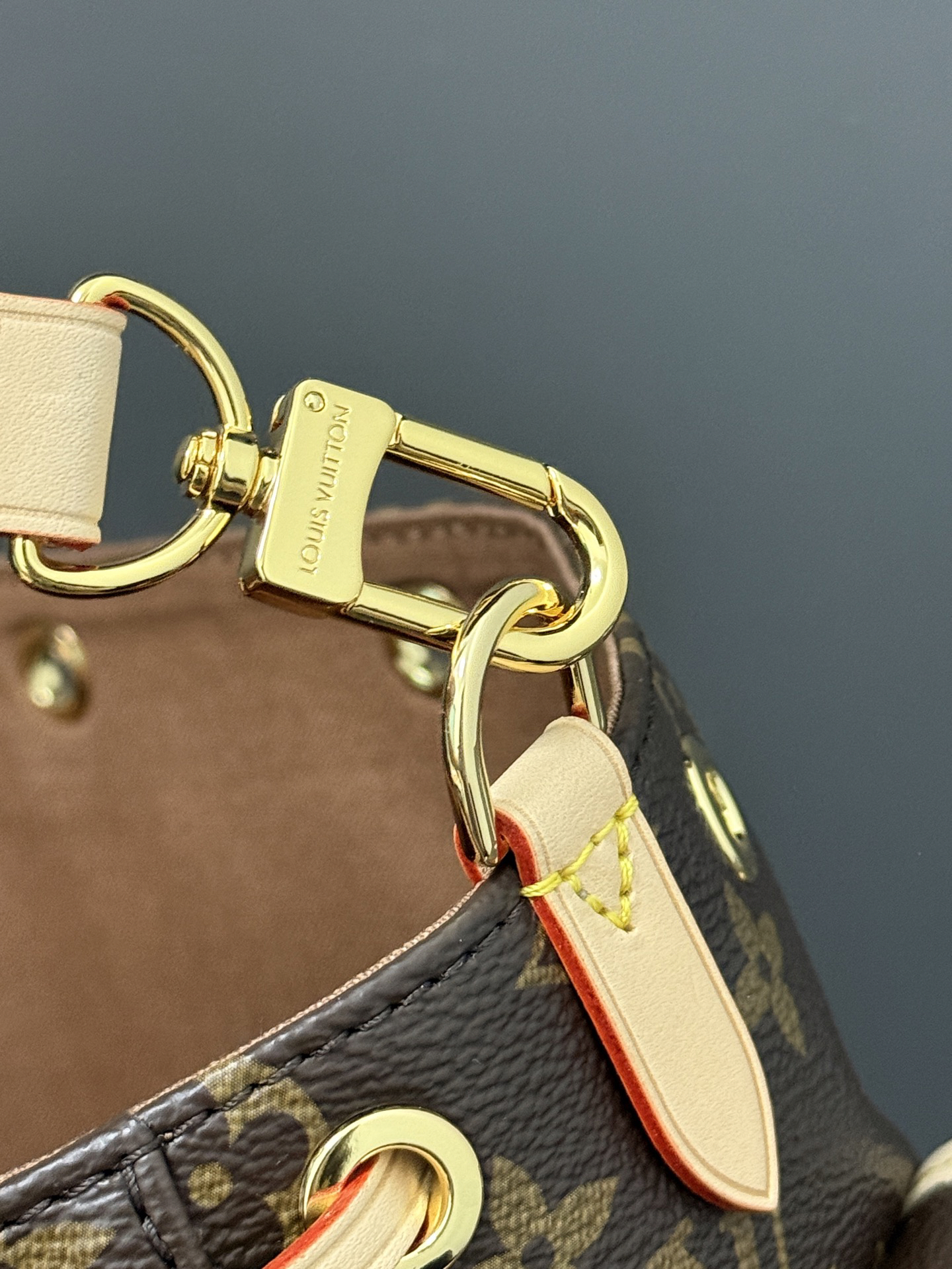 Louis Vuitton LV ODYSSÉE Handbag