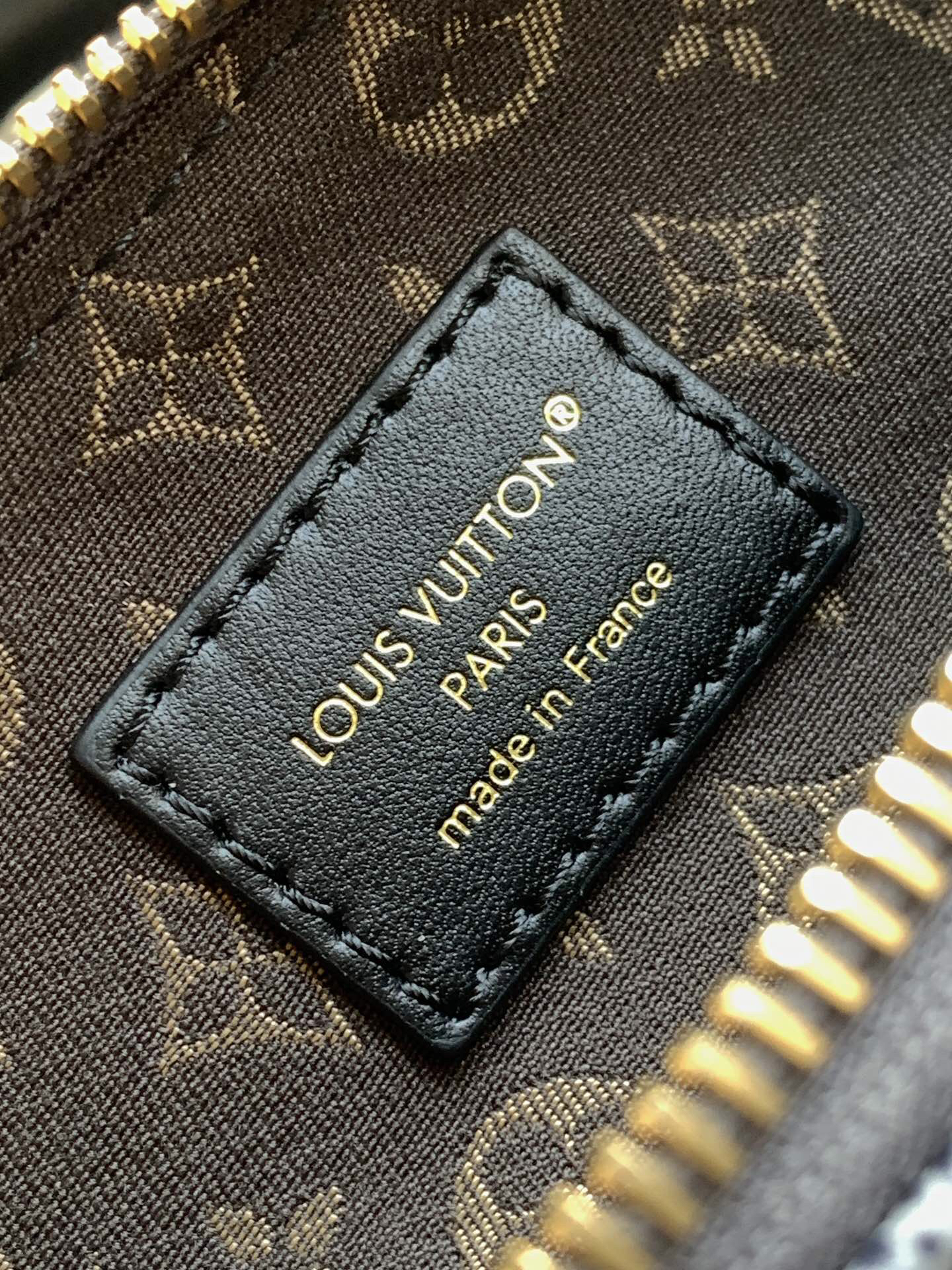 Louis Vuitton LV BIKER Small Handbag