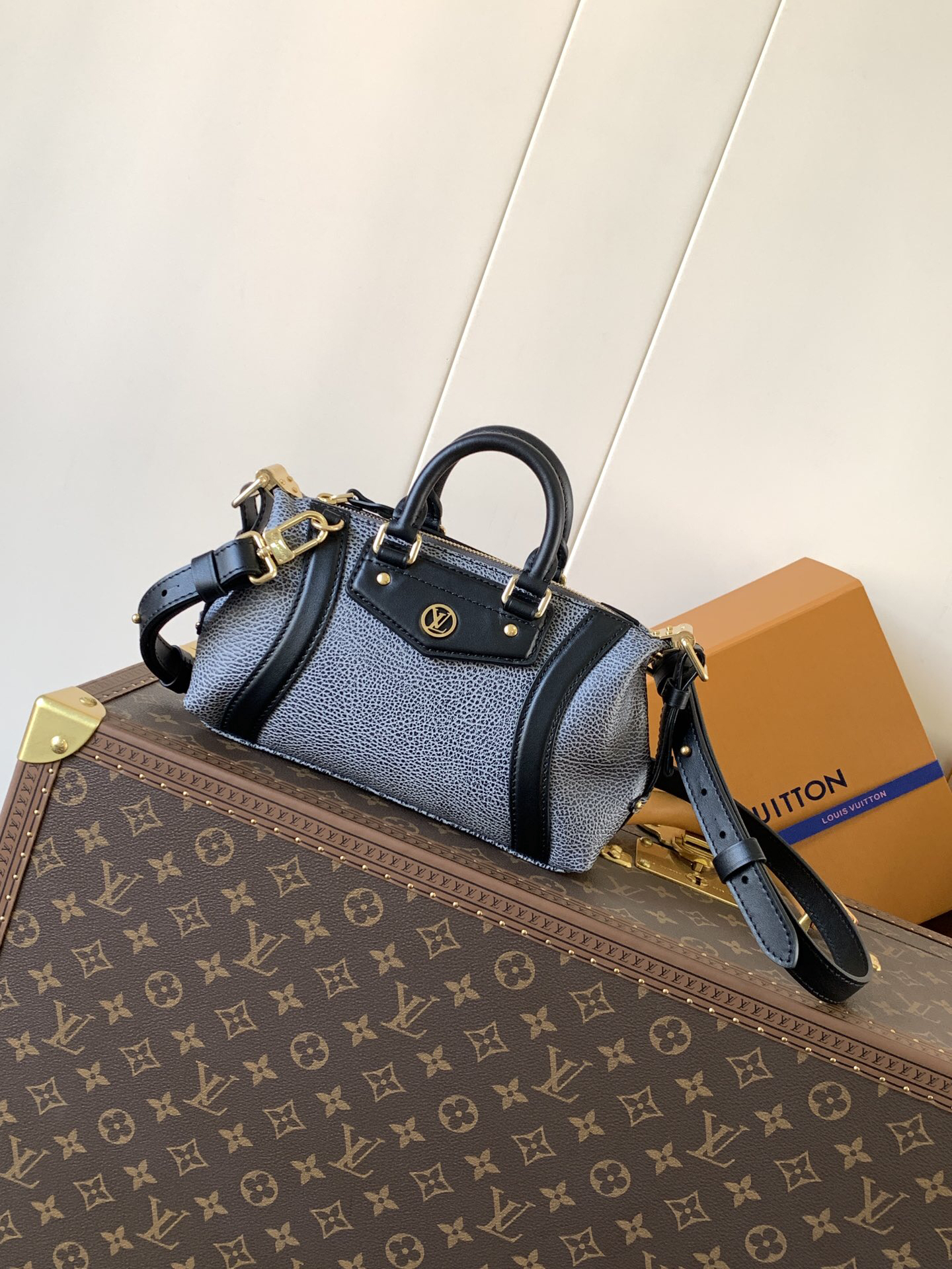 Louis Vuitton LV BIKER Small Handbag