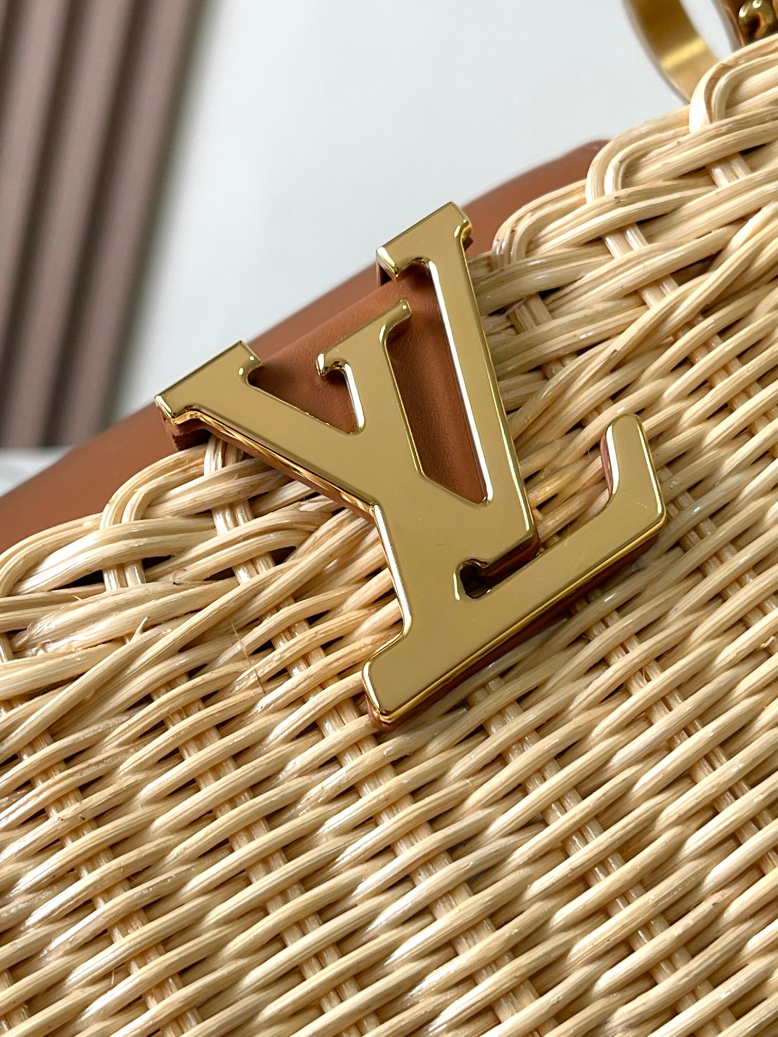 Louis Vuitton LV Capucines BB Woven Handbag