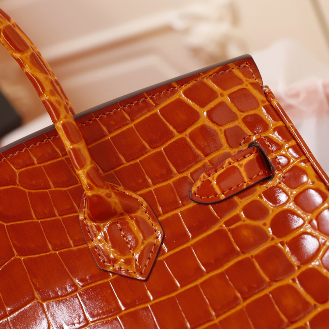 Hermès Birkin 25 Handbag