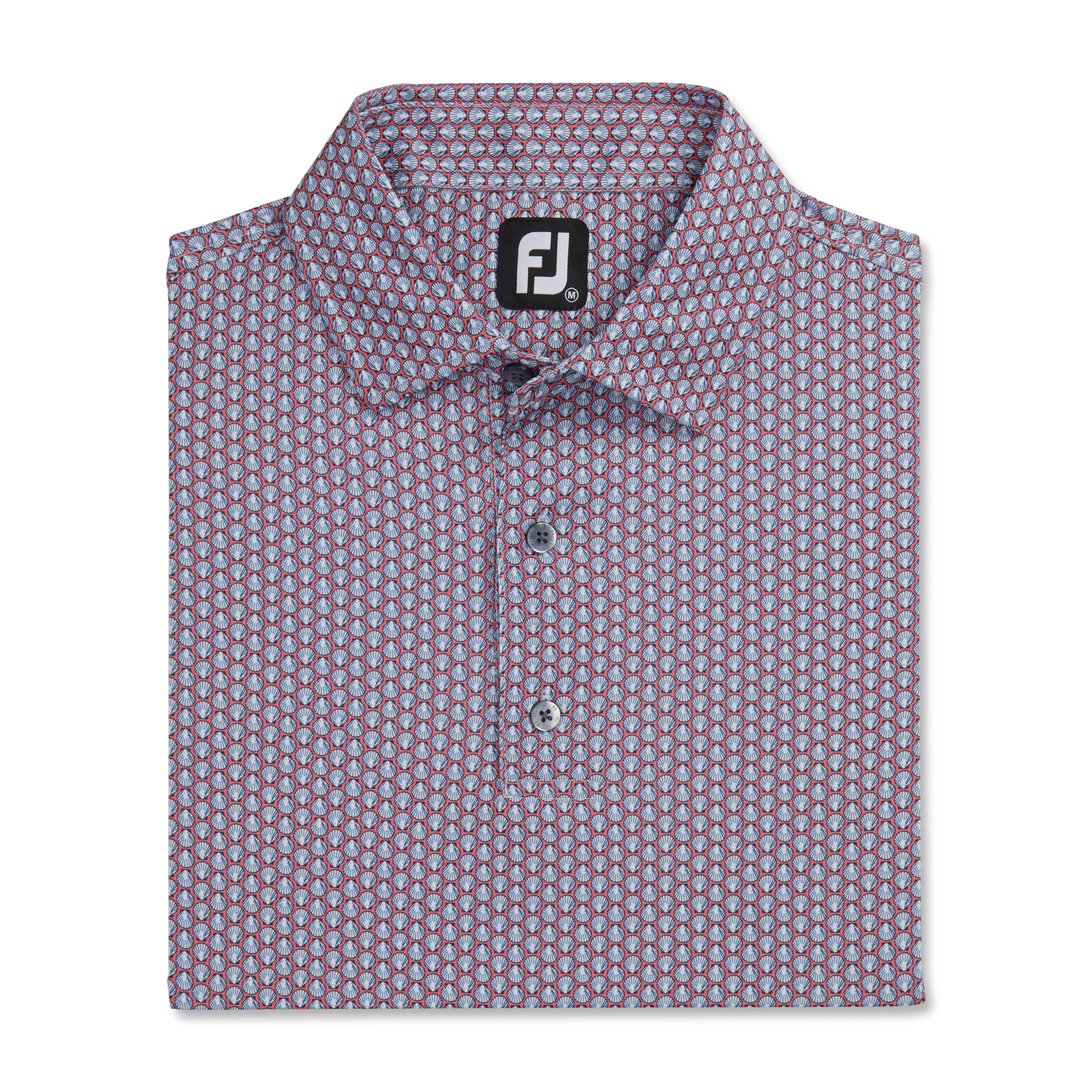 Scallop Shell Lisle