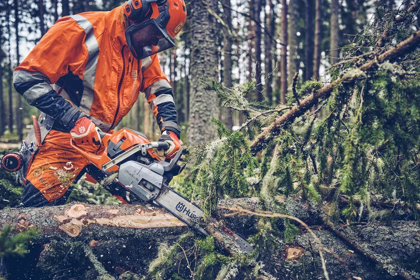 562 XP® Mark II Gas Chainsaw