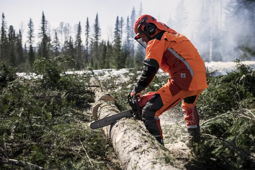 565 Gas Chainsaw