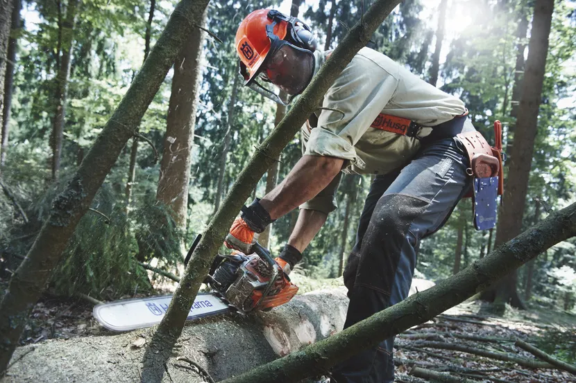 562 XP® Gas Chainsaw