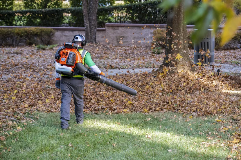 580BFS Leaf Blower