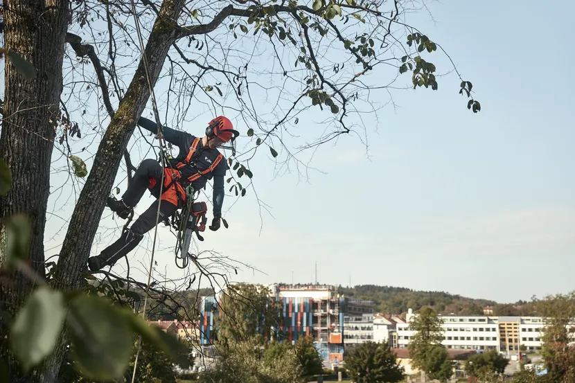T535i XP® (tool only) Battery Chainsaw