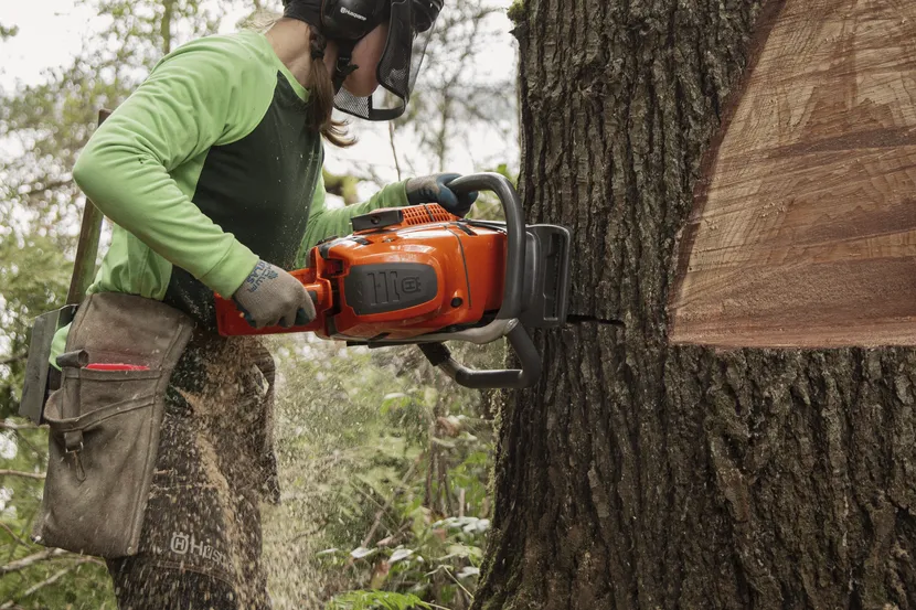 592 XP® Gas Chainsaw