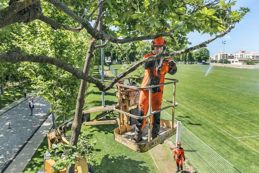T435 Gas Chainsaw