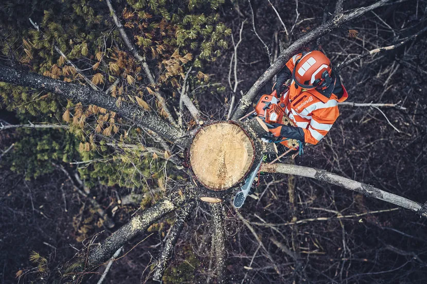562 XP® G Mark II Gas Chainsaw