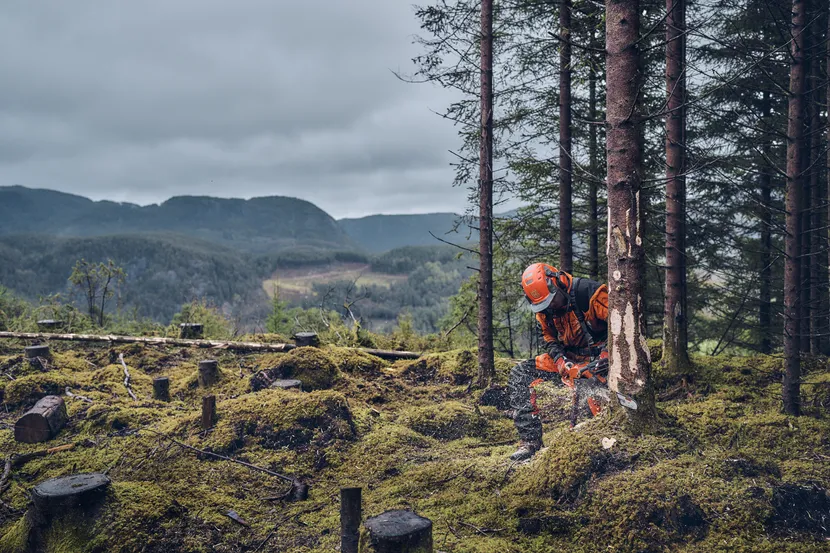 540 XP® Mark III Gas Chainsaw