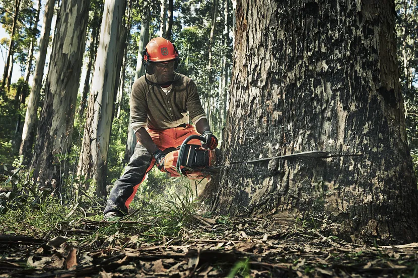 390 XP® W Gas Chainsaw