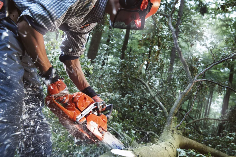 555 Gas Chainsaw