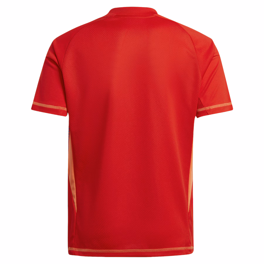 Juventus adidas Goalkeeper Shirt 2024-25