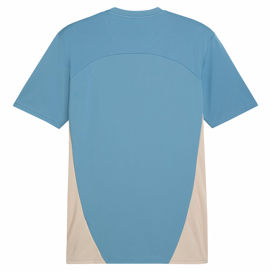 Olympique de Marseille Puma Training Jersey