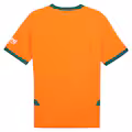 Valencia PUMA Third Shirt 2024-25