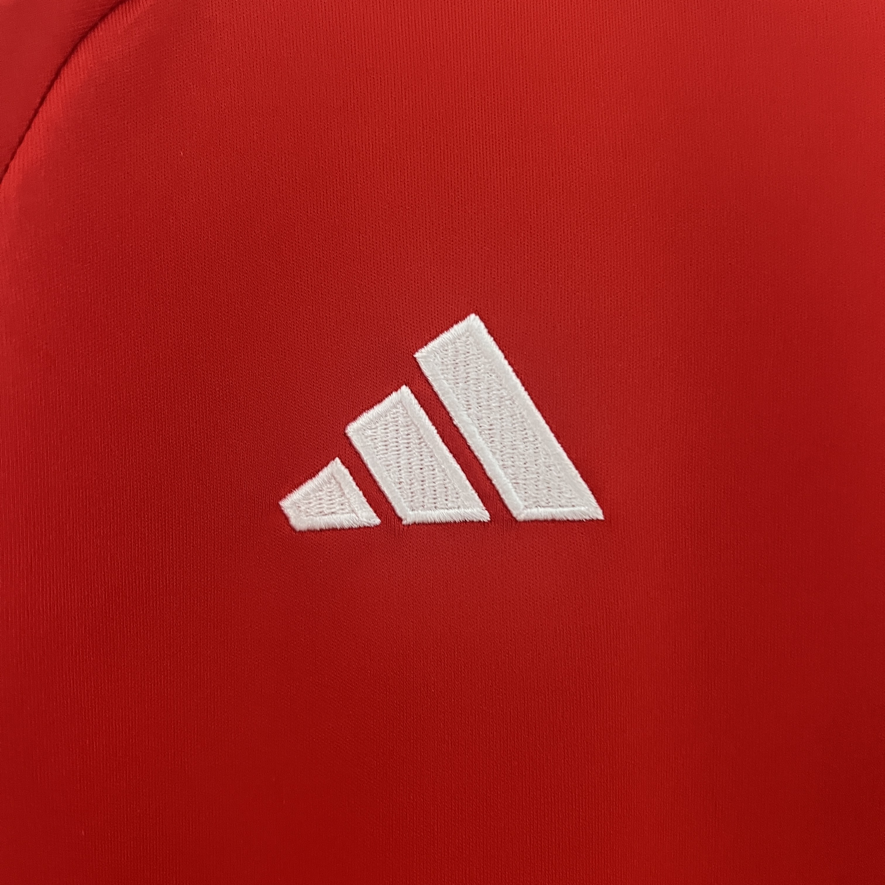 Wales 2024 Home Stadium Jersey - Fans Version - UnitedFutballJersey