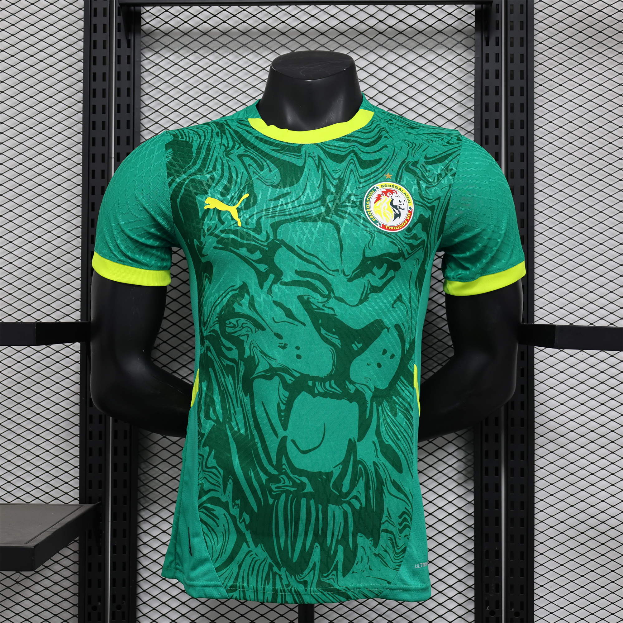 Senegal 24-25 Away Green Jersey - Player Version - UnitedFutballJersey