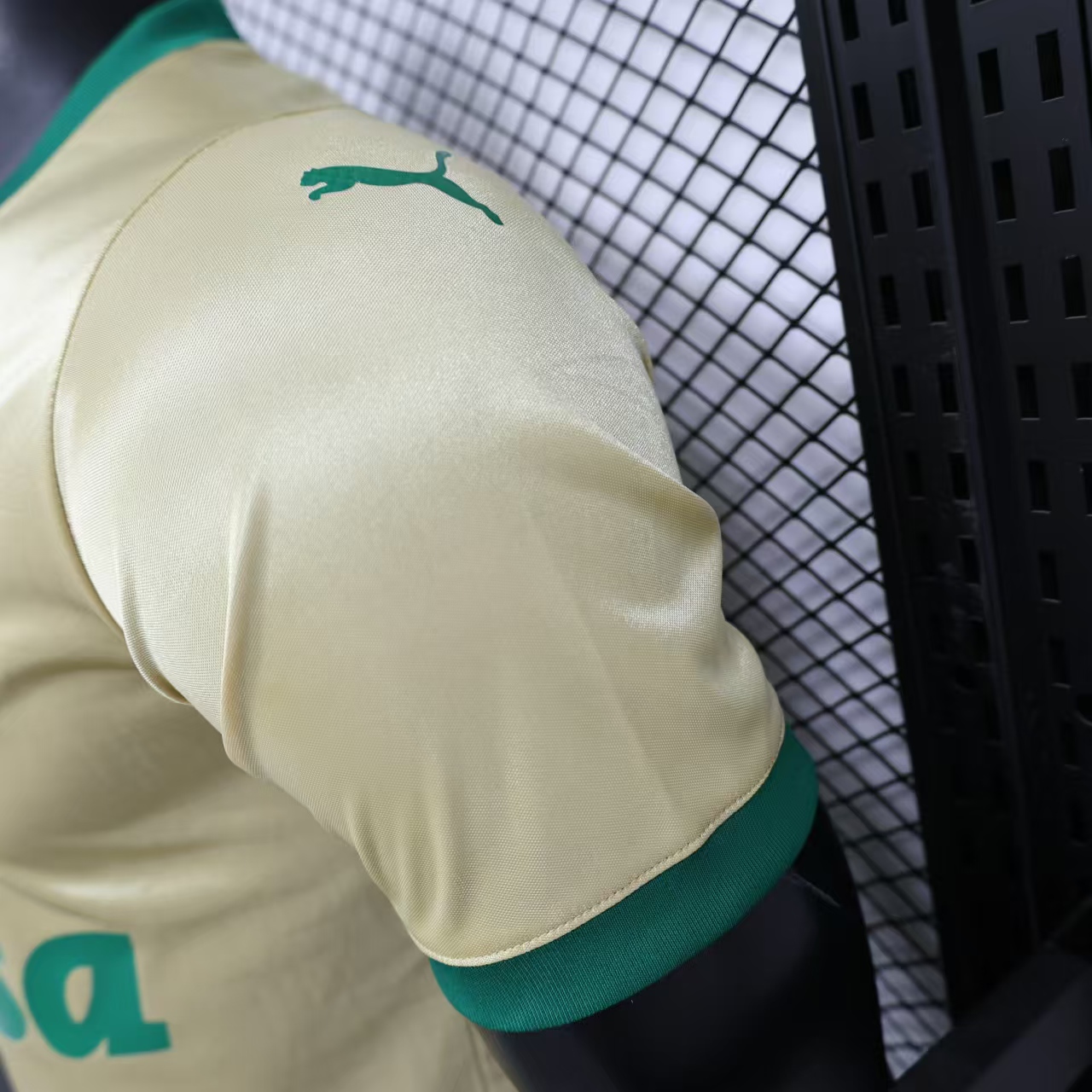 Palmeiras 2024 110-Year Anniversary Jersey - Player Version - UnitedFutballJersey