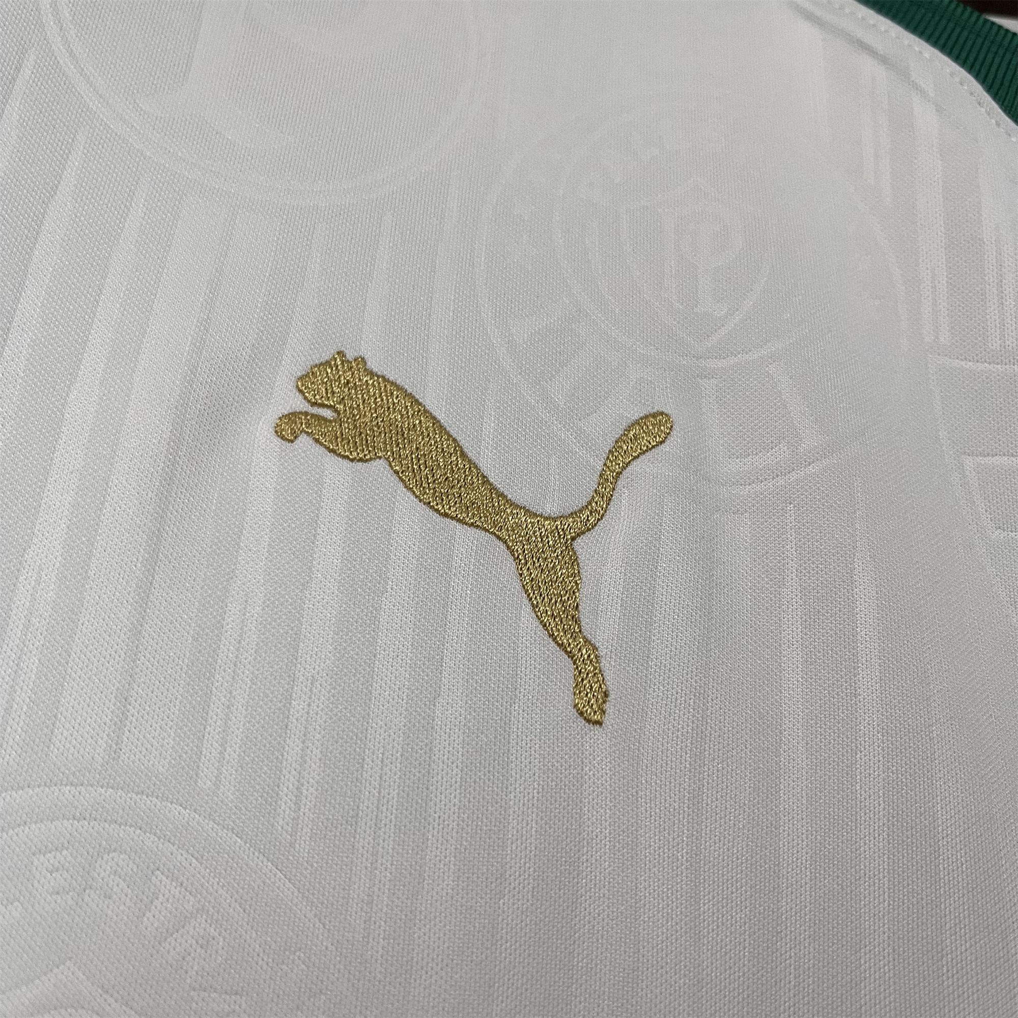 Palmeiras 2024 Away Jersey - Fans Version - UnitedFutballJersey