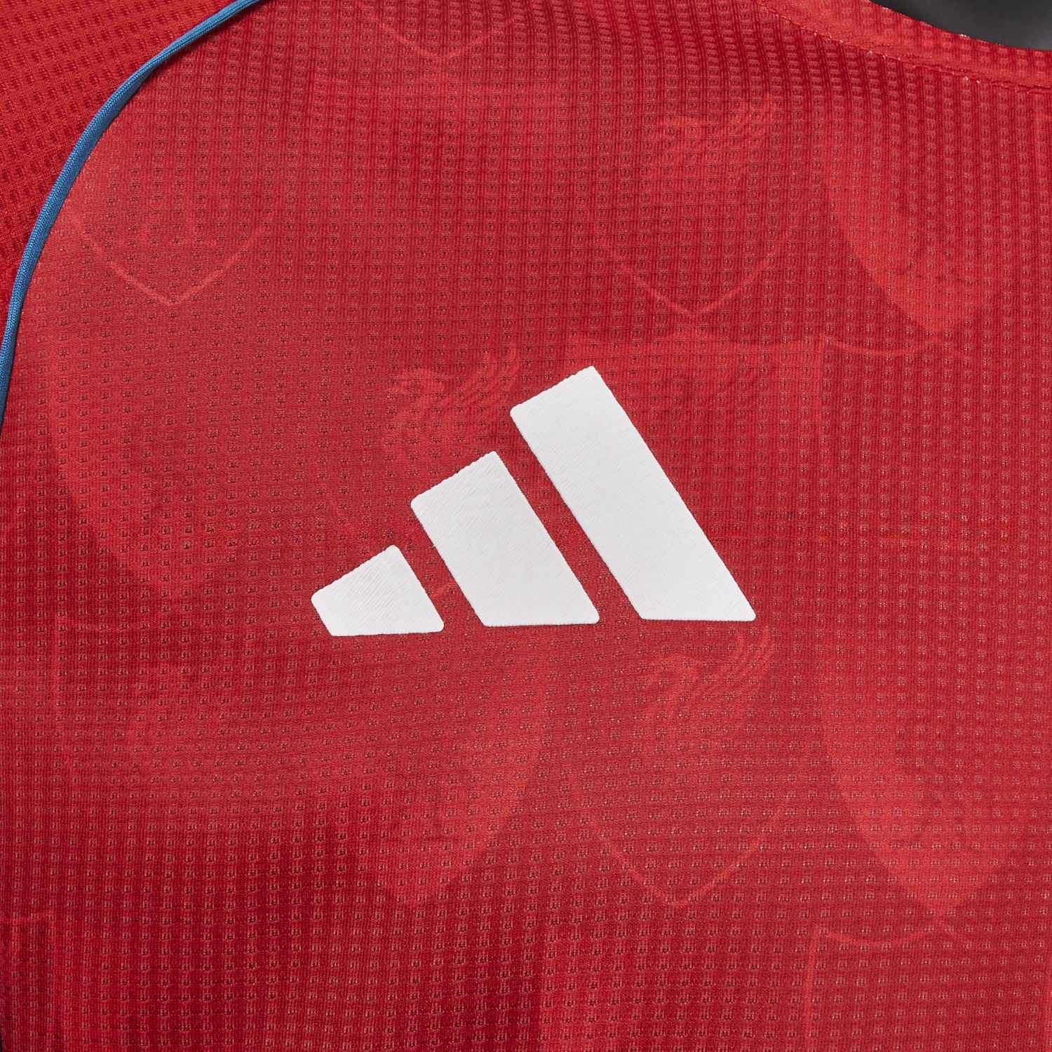Liver.pool 25-26 Retro Team Logo Totem Special Jersey - Player Version - UnitedFutballJersey