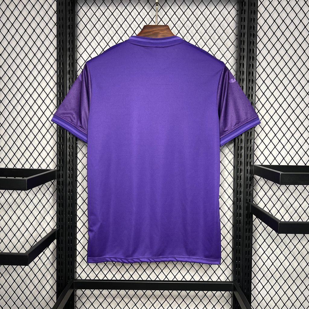 R.S.C. Anderlecht 24-25 Home Stadium Jersey - Fans Version - UnitedFutballJersey