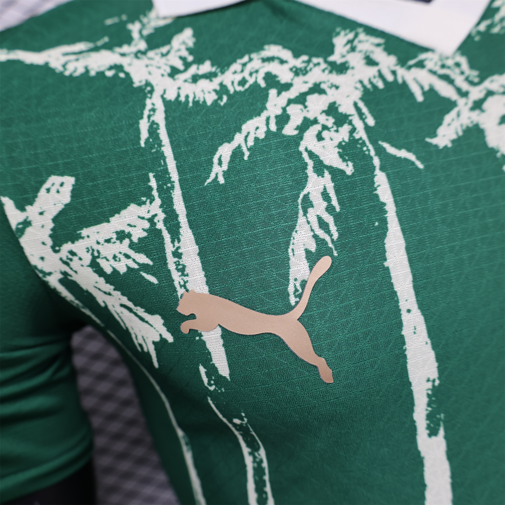 Palmeiras 2025 Home (Informal-release Version) Jersey - Player Version - UnitedFutballJersey