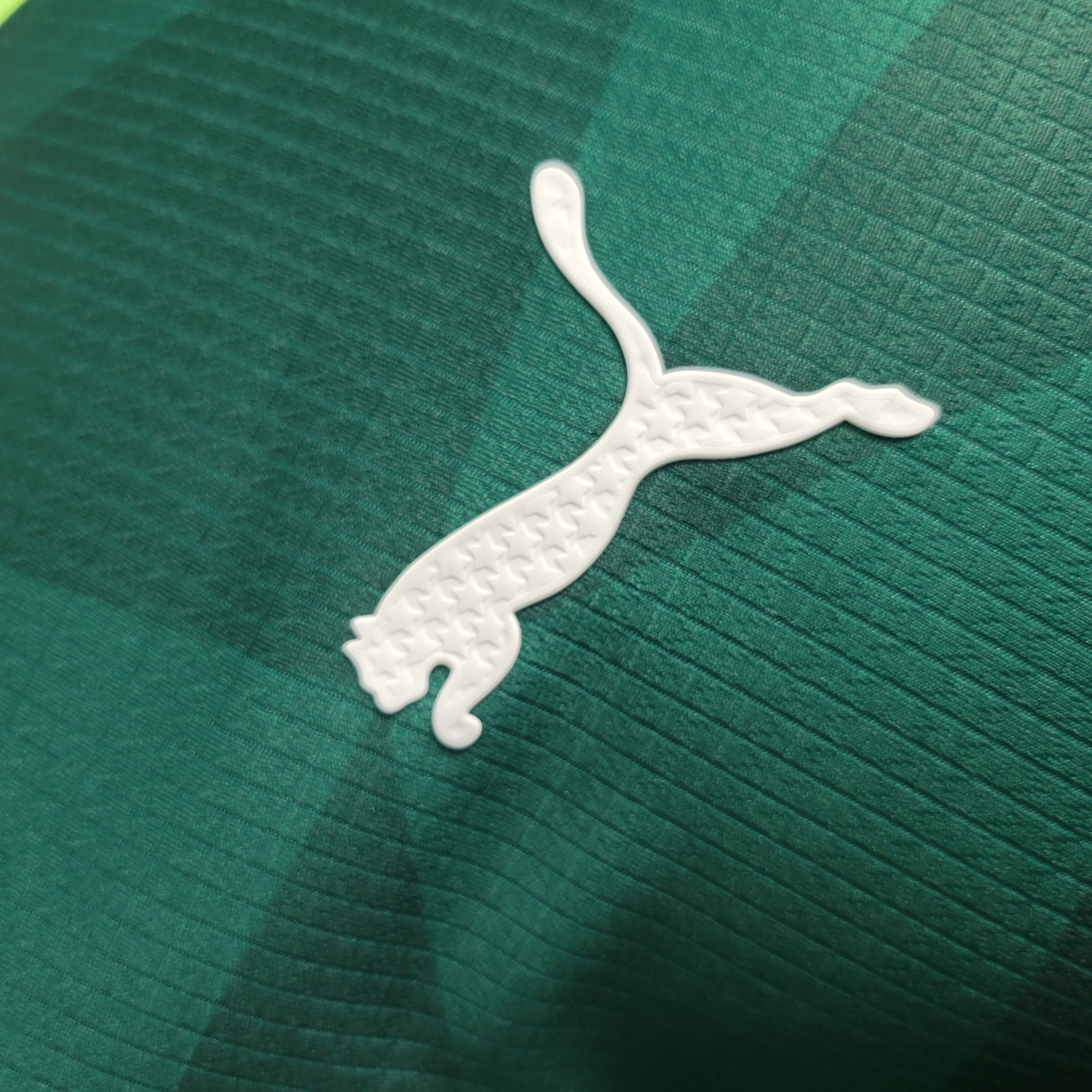 Palmeiras 2023 Home Stadium Jersey - Player Version - UnitedFutballJersey