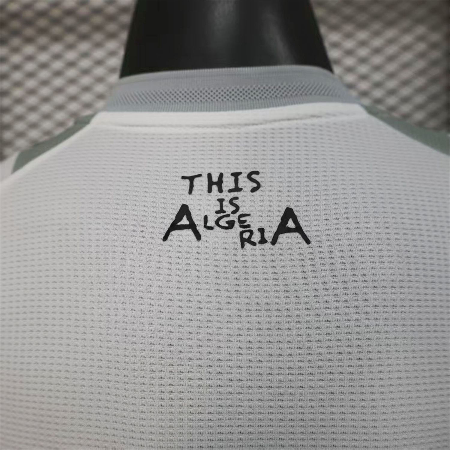 Algeria 25-26 Grey Plant White Special Jersey - Player Version - UnitedFutballJersey