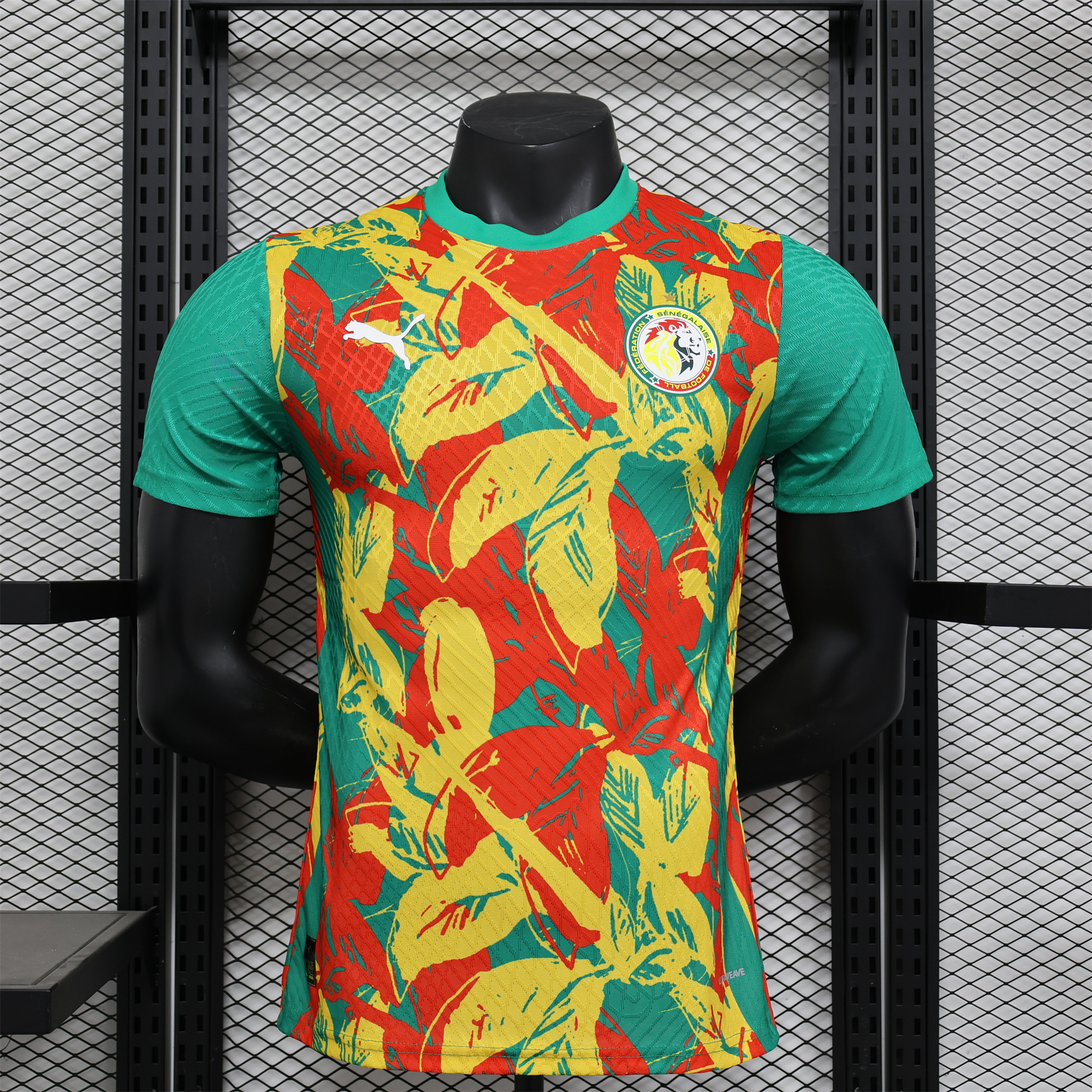 Senegal 24-25 Pre-Match Jersey - Player Version - UnitedFutballJersey